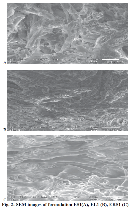 IJPS-SEM-images-formulation