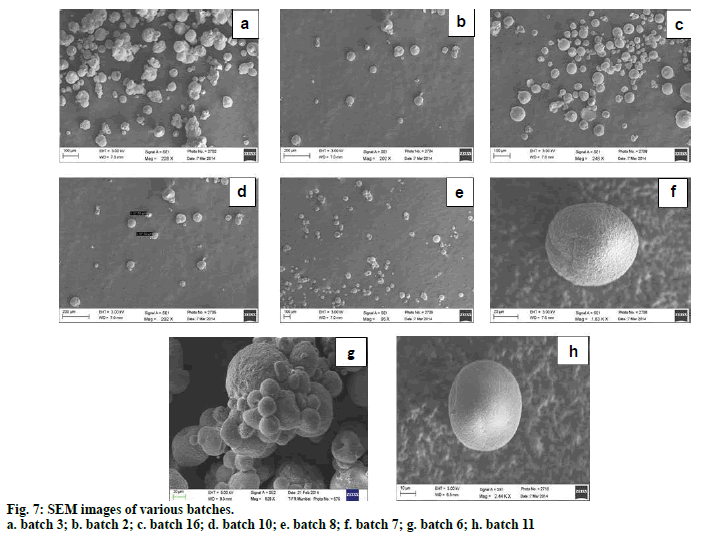 IJPS-SEM-images-various