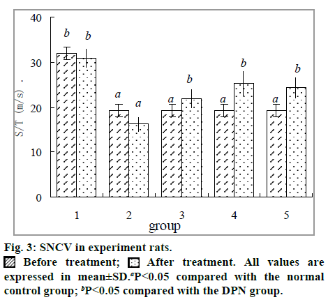 IJPS-SNCV-experiment-rats