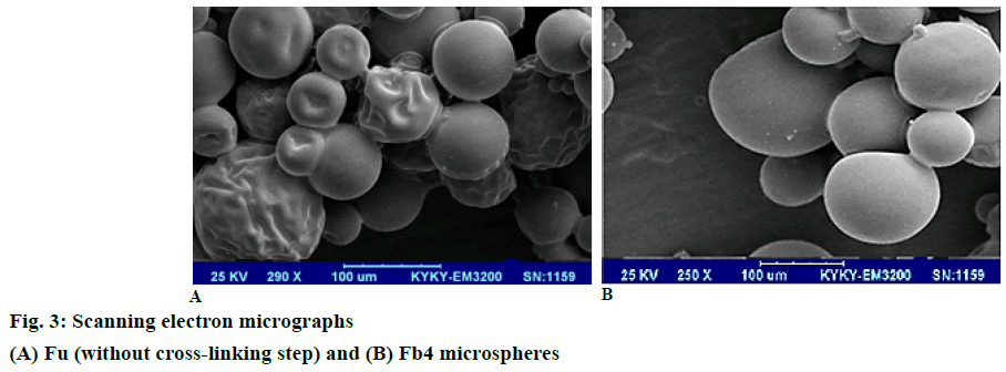 IJPS-Scanning-electron