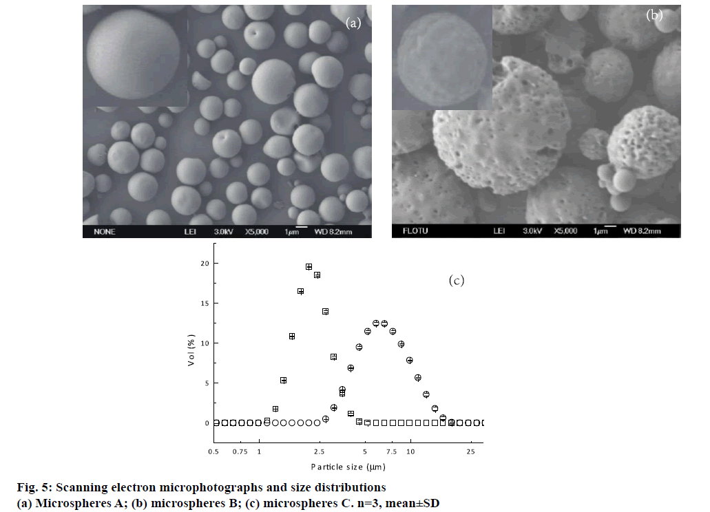 IJPS-Scanning-electron