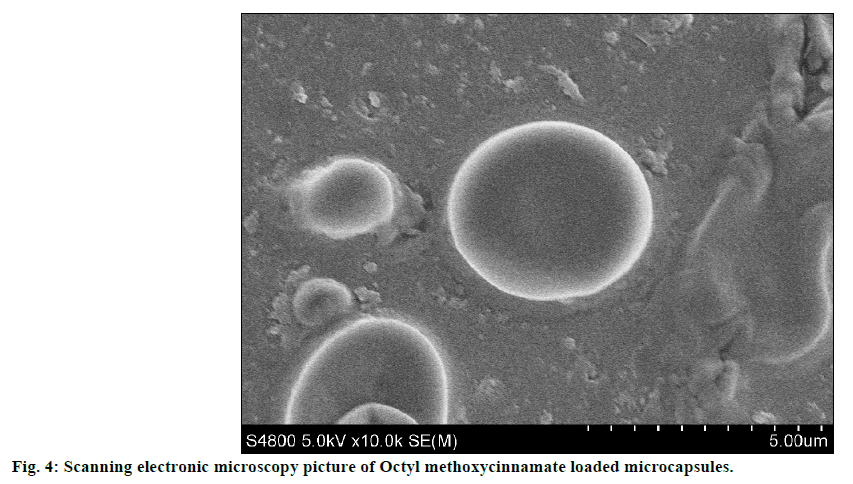 IJPS-Scanning-electronic-microscopy