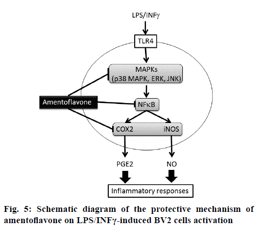 IJPS-Schematic-diagram