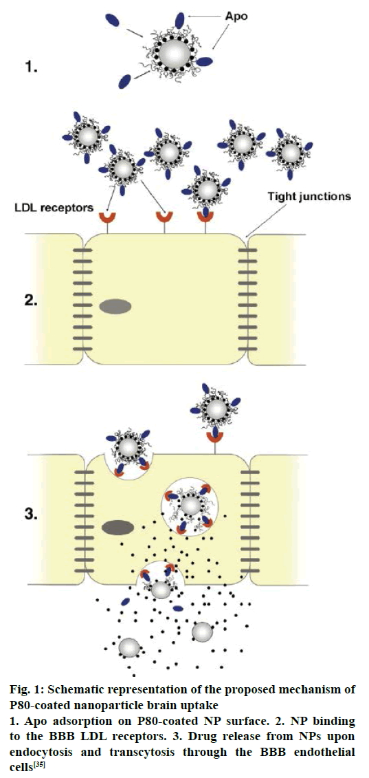 IJPS-Schematic-representation