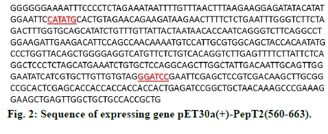 IJPS-Sequence-of-expressing