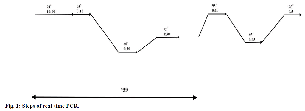 IJPS-Steps-real-time-PCR