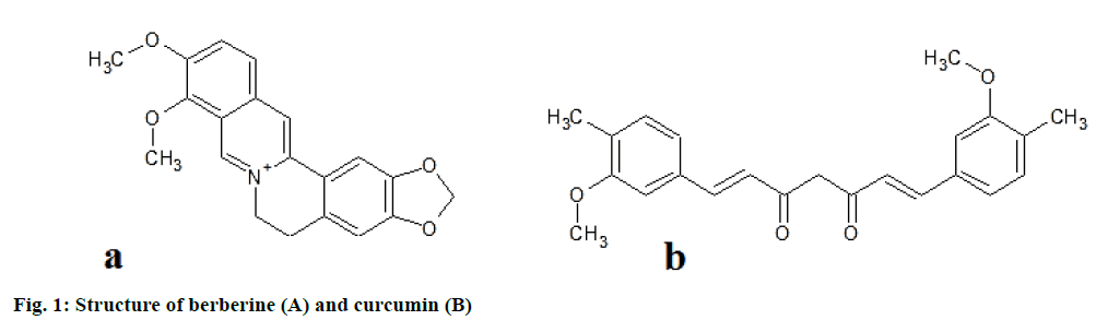 IJPS-Structure-berberine