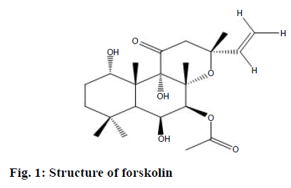 IJPS-Structure-forskolin