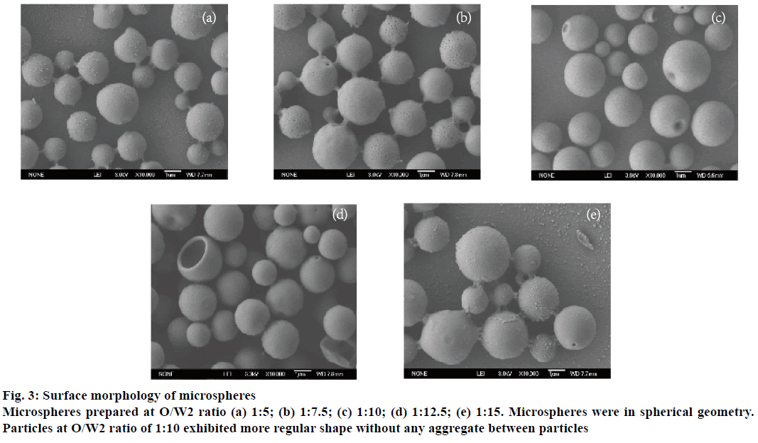 IJPS-Surface-morphology