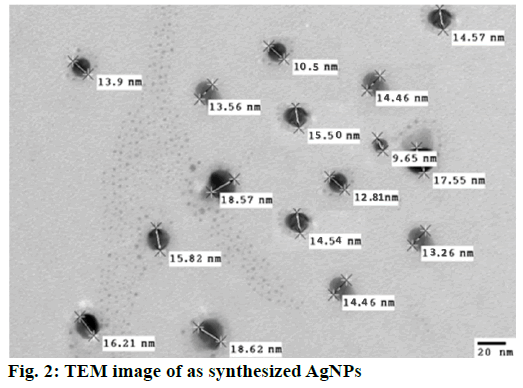 IJPS-TEM-image