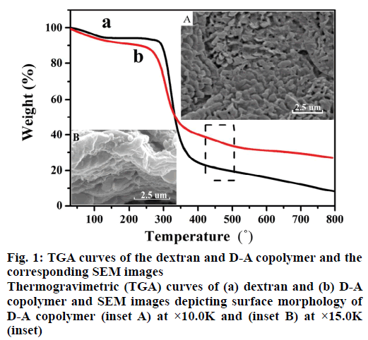 IJPS-Thermogravimetric