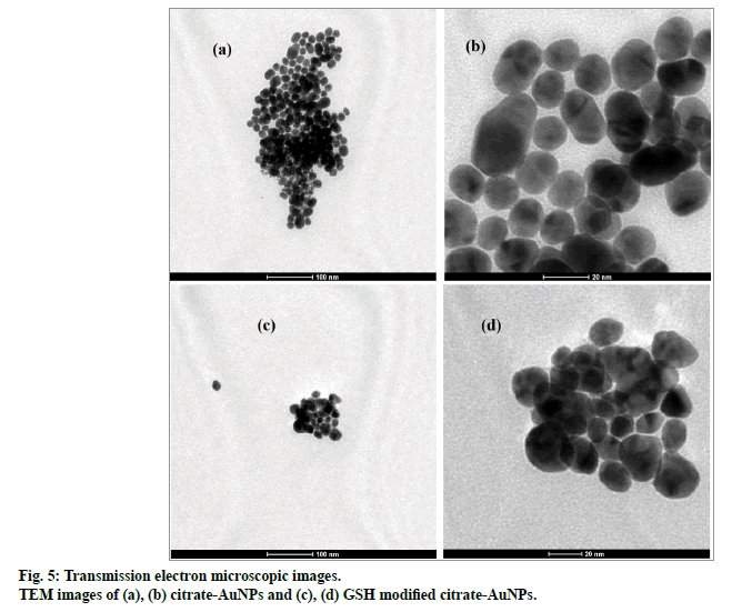 IJPS-Transmission-electron-microscopic-images