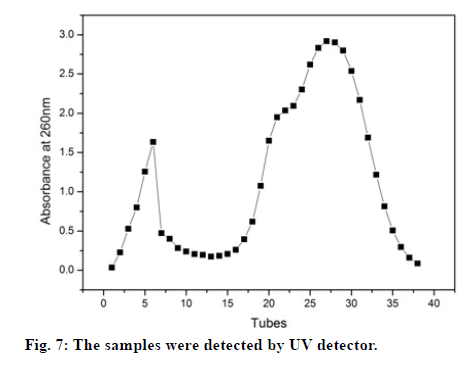 IJPS-UV-detector