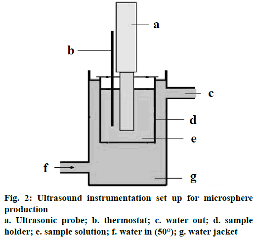 IJPS-Ultrasound-instrumentation