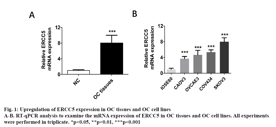 IJPS-Upregulation