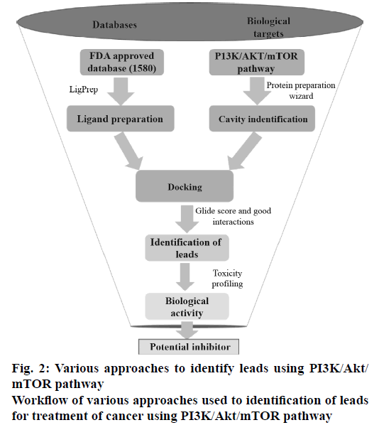 IJPS-Various-approaches