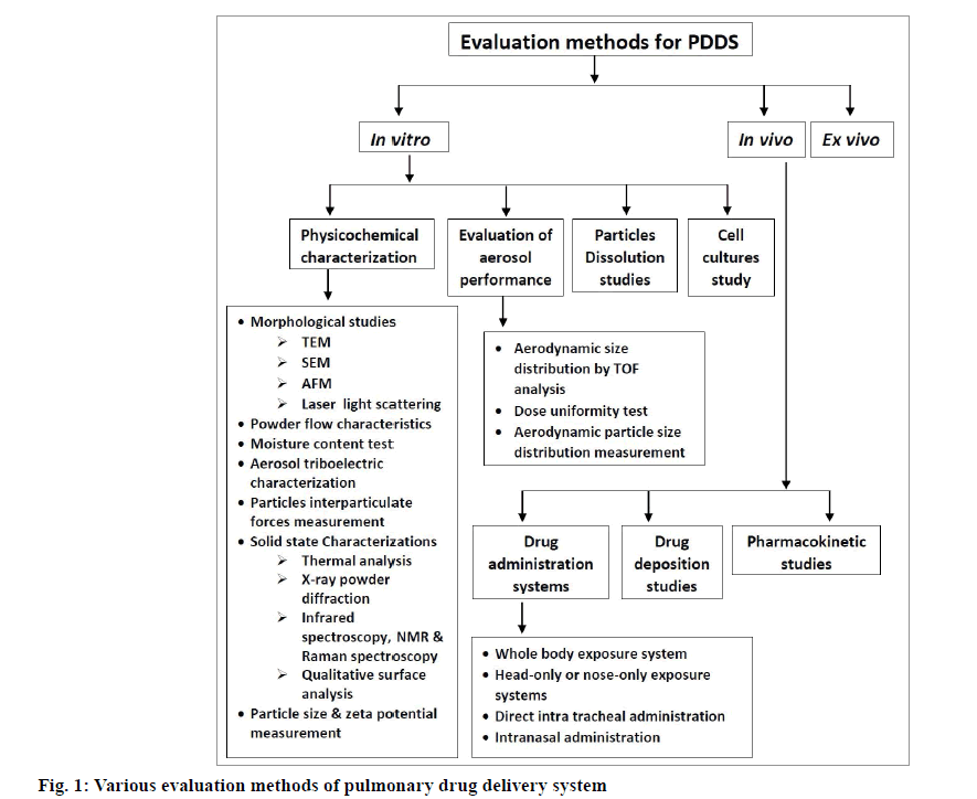 IJPS-Various-evaluation-methods