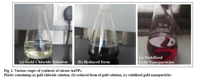 IJPS-Various-stages-synthesis-citrate