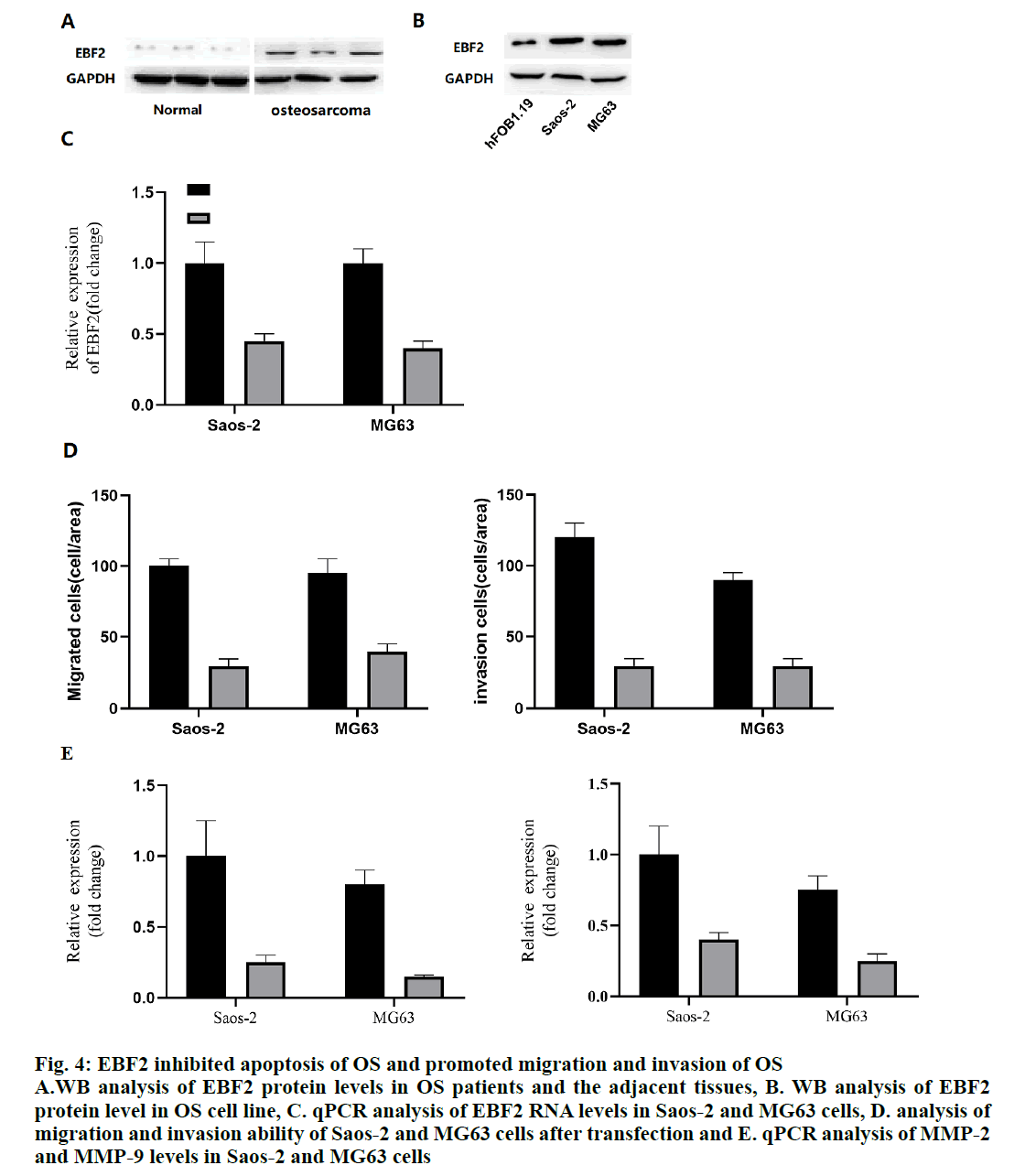 IJPS-WB-analysis