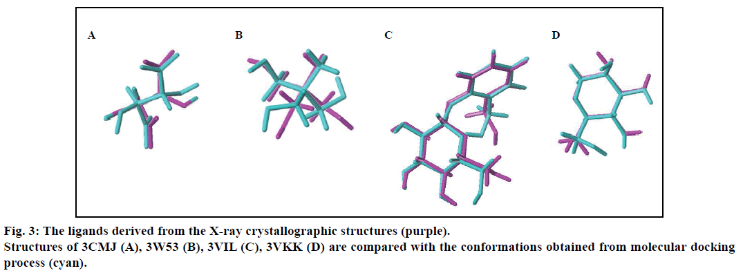 IJPS-X-ray-crystallographic