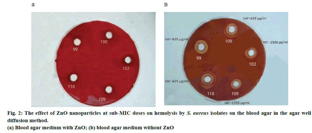 IJPS-ZnO-nanoparticles-sub-MIC