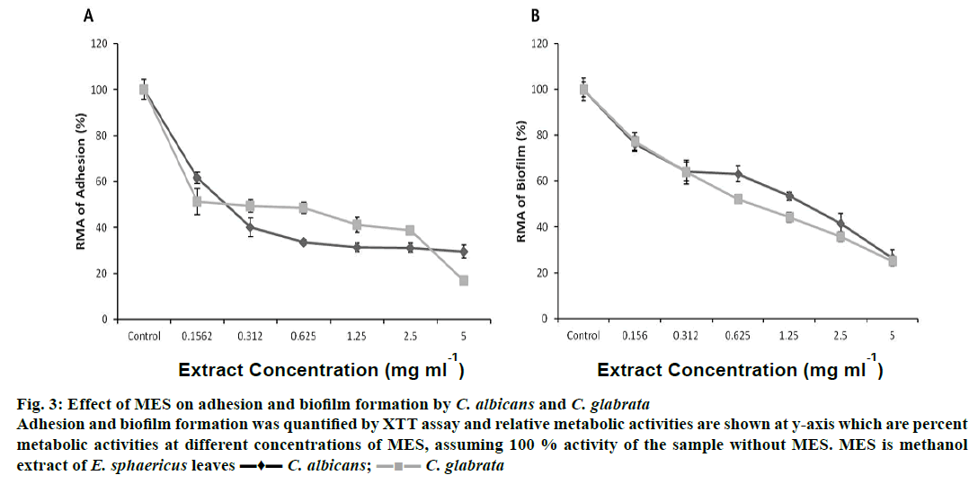 IJPS-adhesion-biofilm