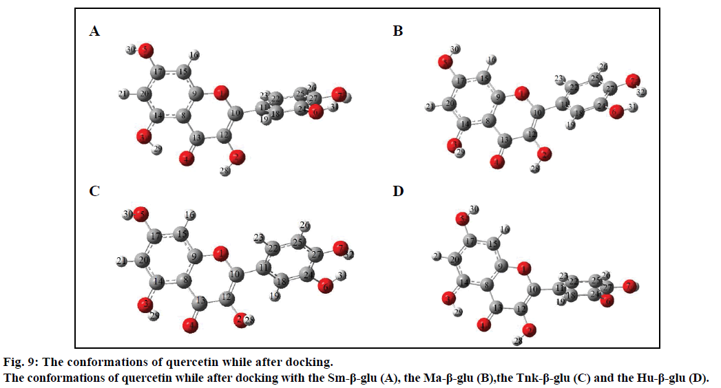 IJPS-after-docking