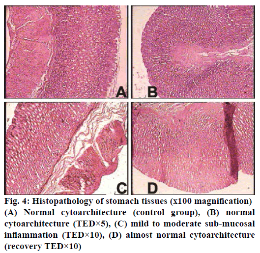 IJPS-almost-normal-cytoarchitecture