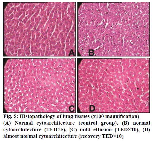 IJPS-almost-normal-cytoarchitecture