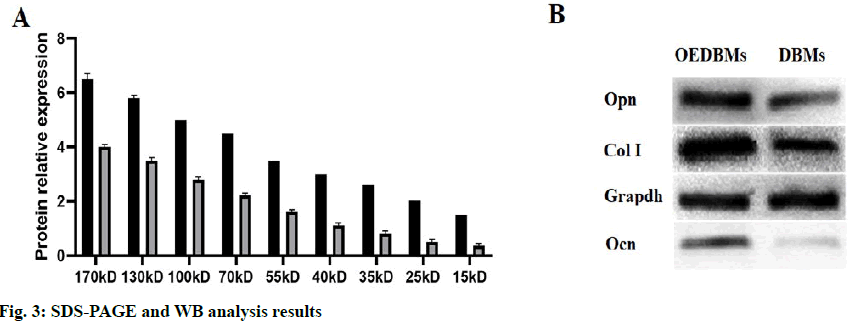 IJPS-analysis