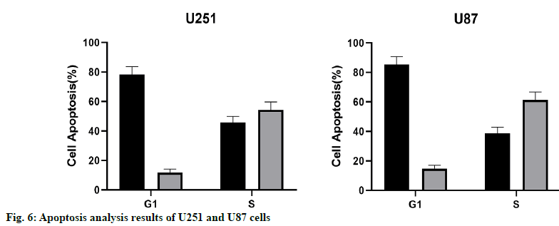 IJPS-analysis