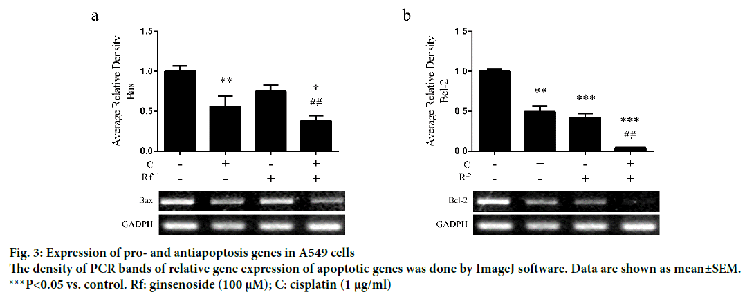 IJPS-antiapoptosis-genes