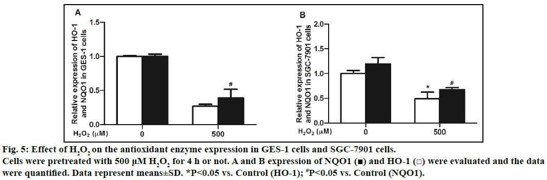 IJPS-antioxidant-enzyme