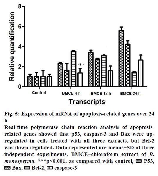 IJPS-apoptosis-related