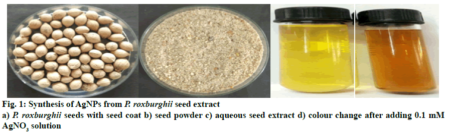 IJPS-aqueous-seed