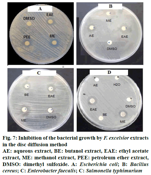 IJPS-bacterial-growth