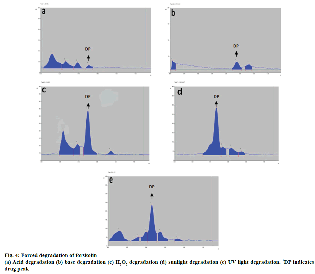 IJPS-base-degradation