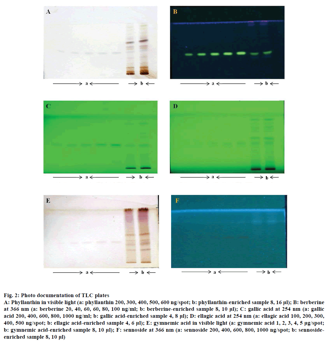 IJPS-berberine-enriched