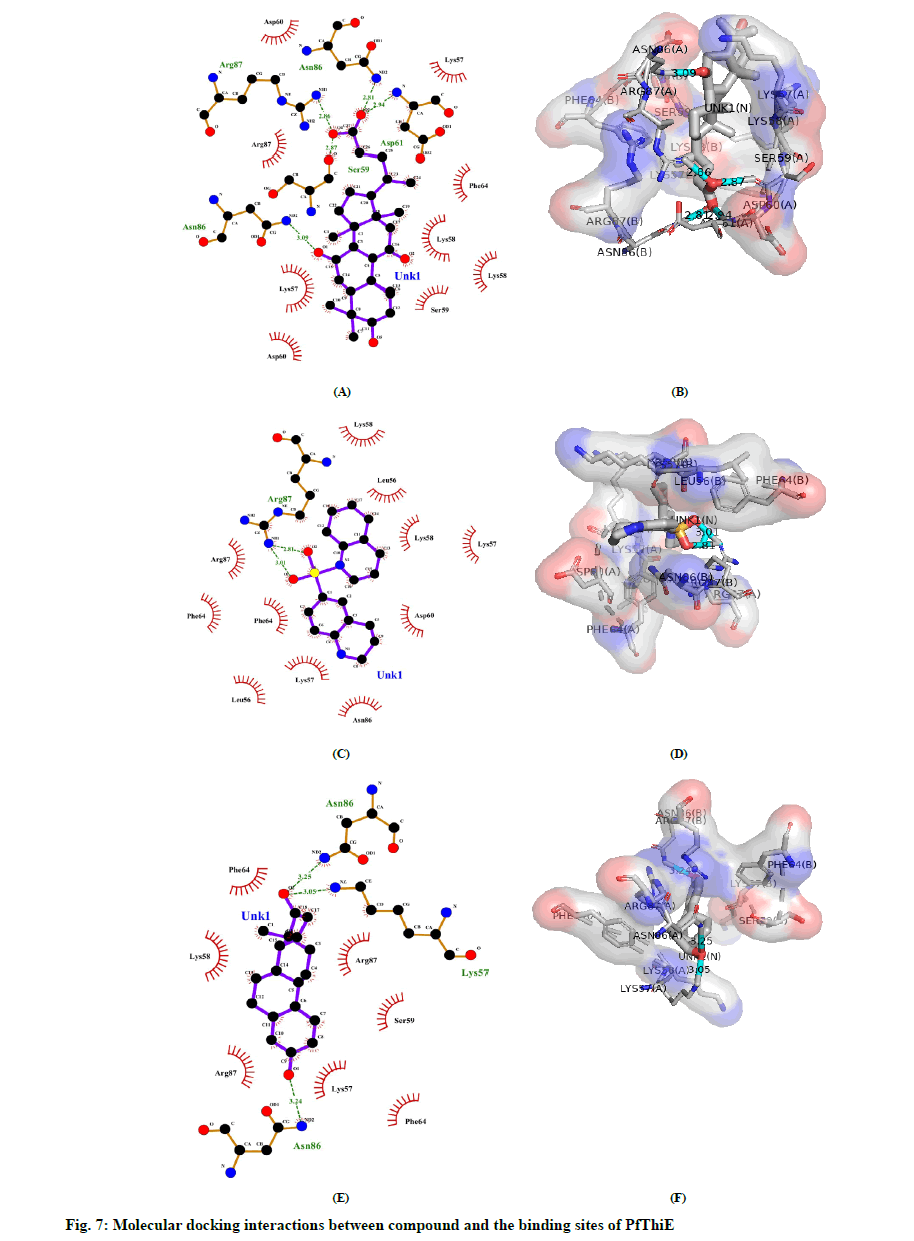 IJPS-binding