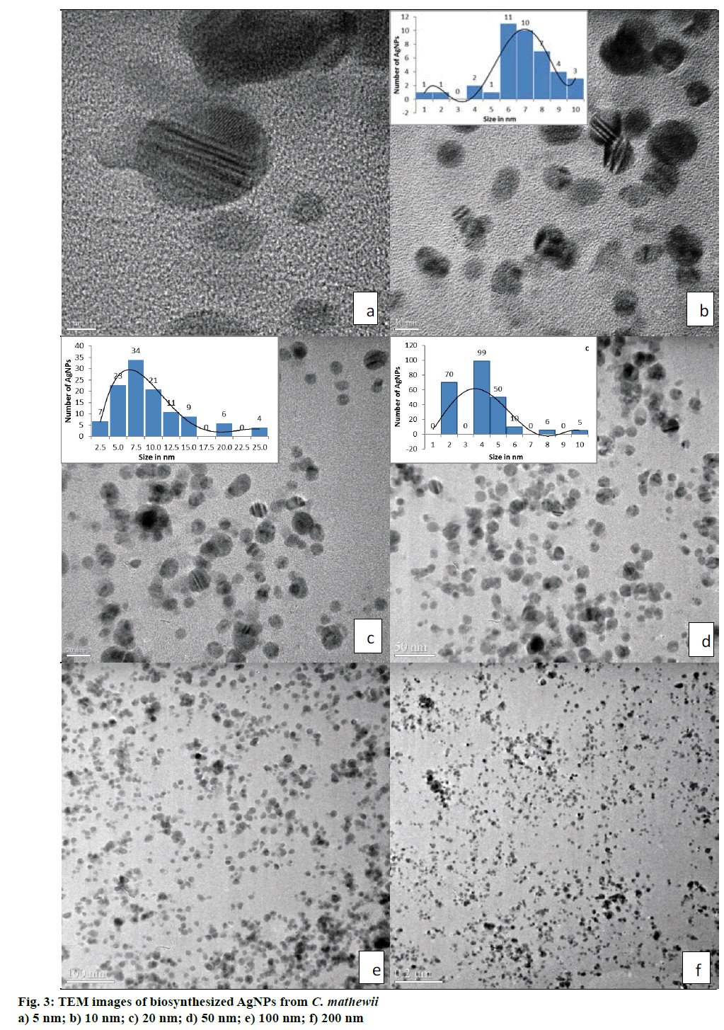 IJPS-biosynthesized-AgNPs-C-mathewii