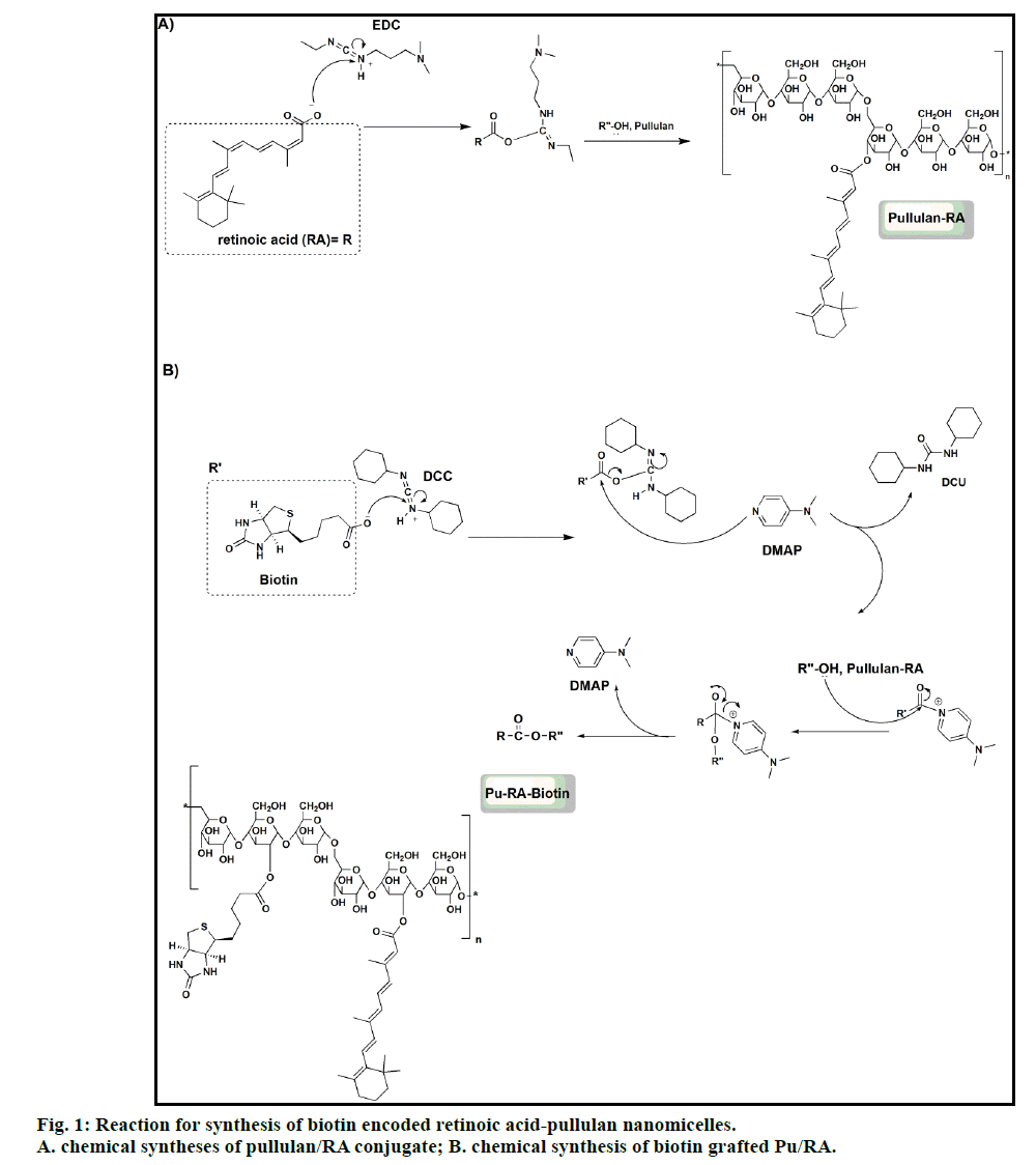 IJPS-biotin-encoded-retinoic