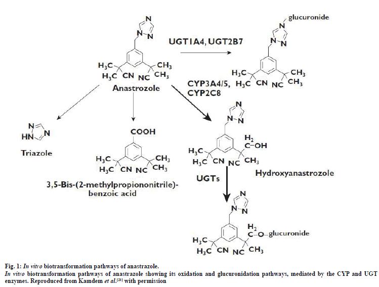 IJPS-biotransformation-pathways