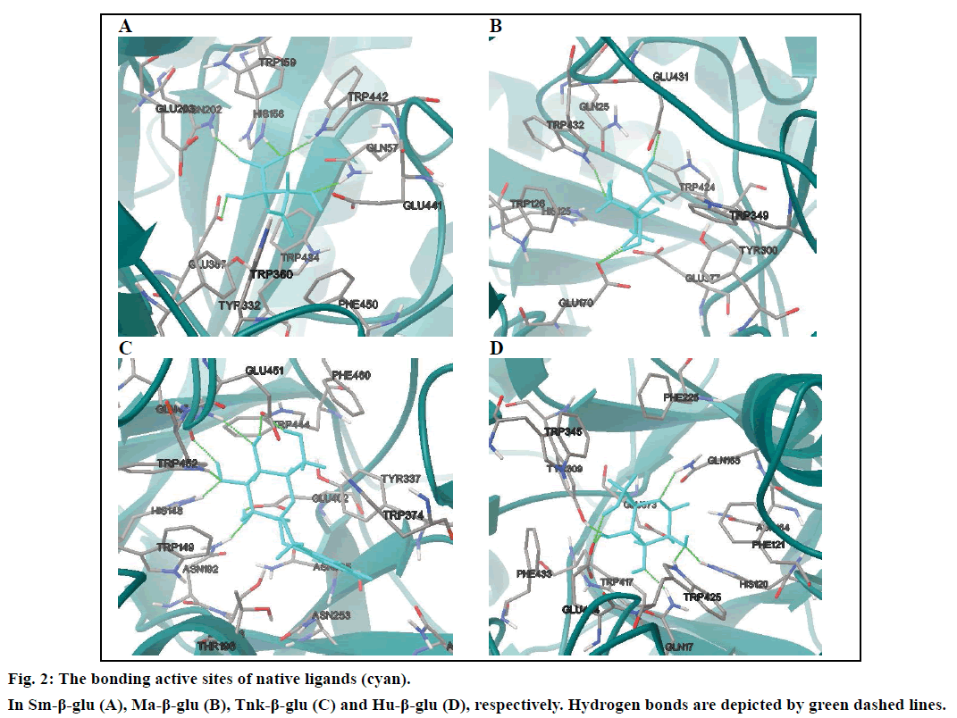 IJPS-bonding-active-sites