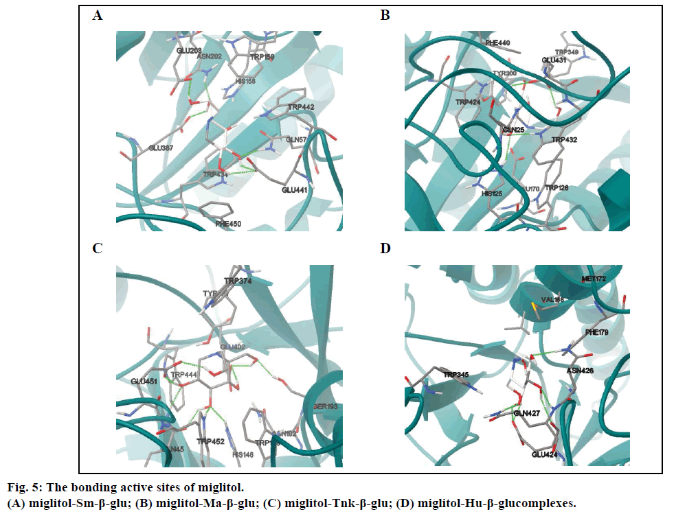 IJPS-bonding-sites