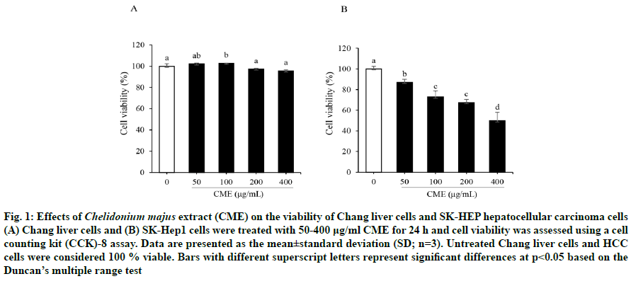 IJPS-carcinoma-cells