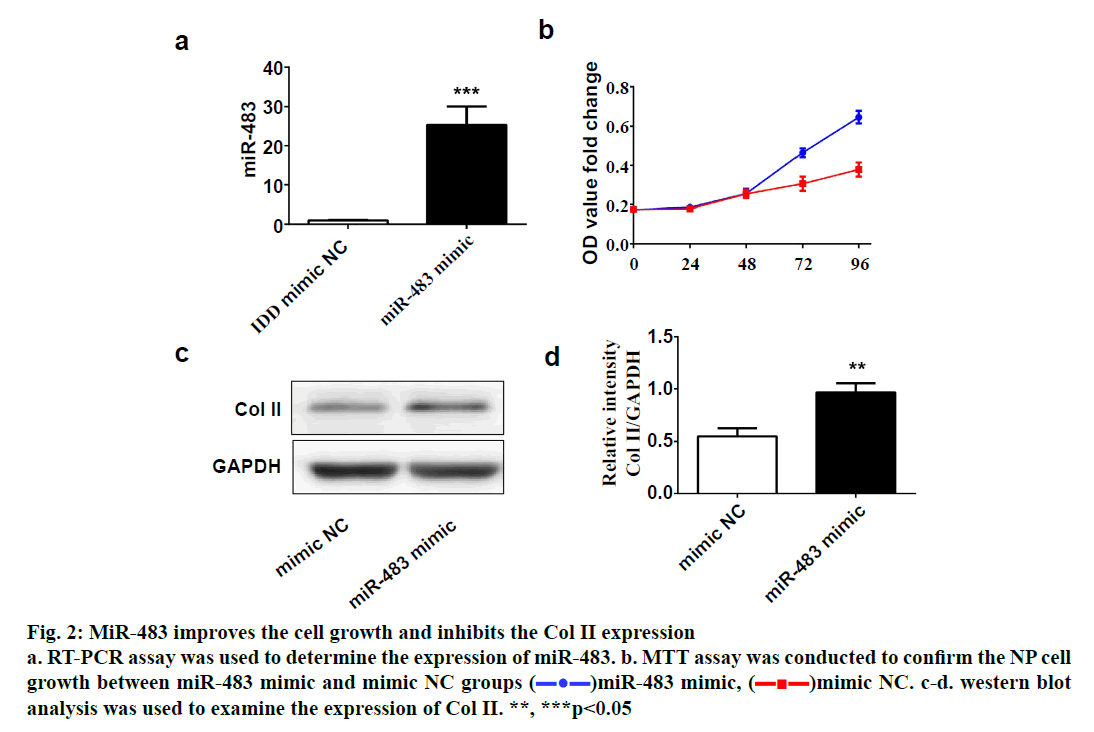 IJPS-cell-growth