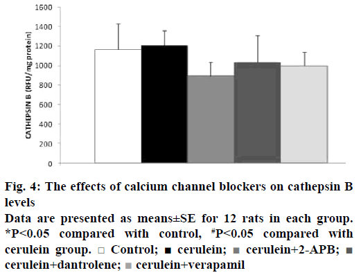 IJPS-channel-blockers