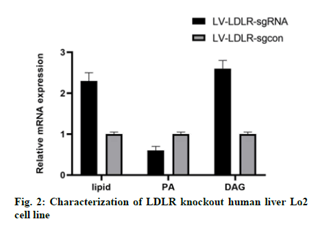 IJPS-characterization