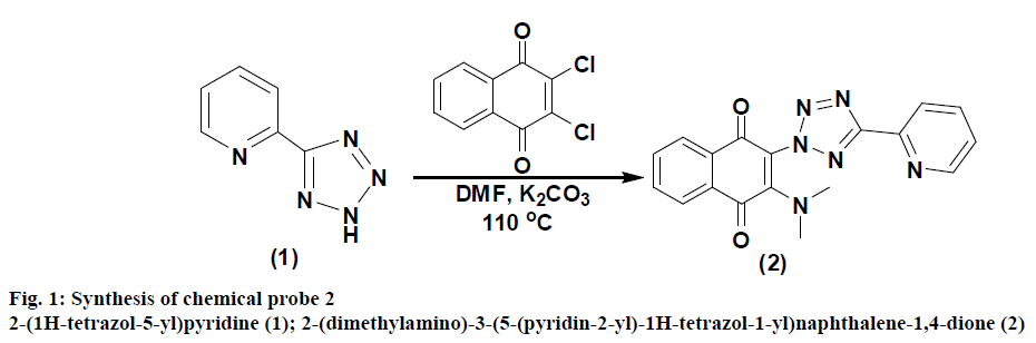 IJPS-chemical-probe