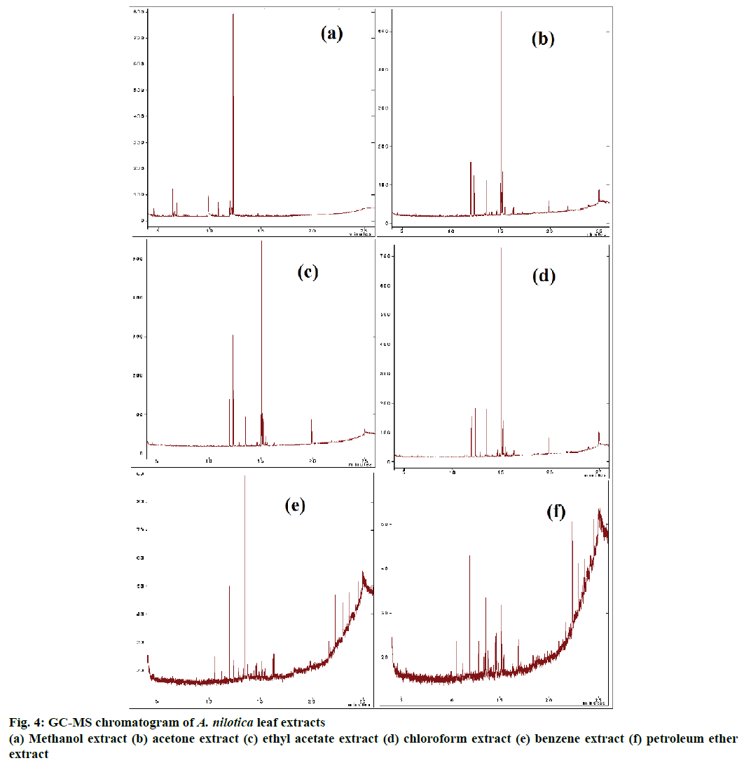 IJPS-chromatogram